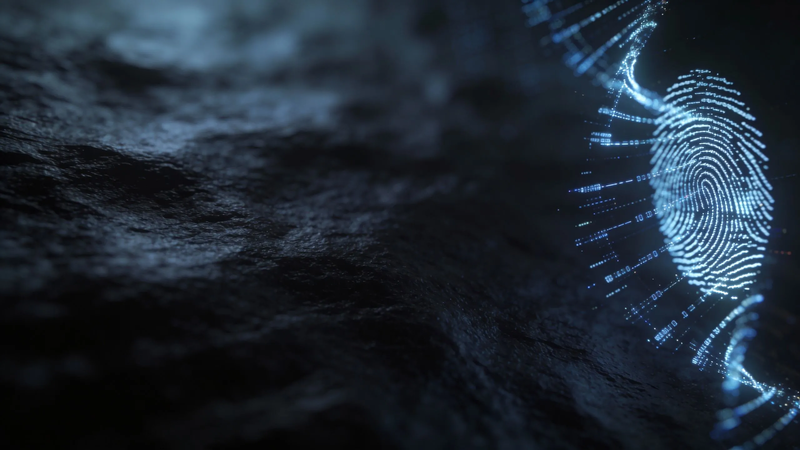 Neural Network Background